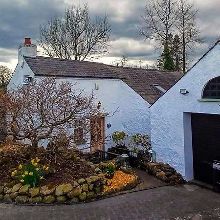 Riverside Cottage At Logwood Mill Ballyclare Buitenkant foto