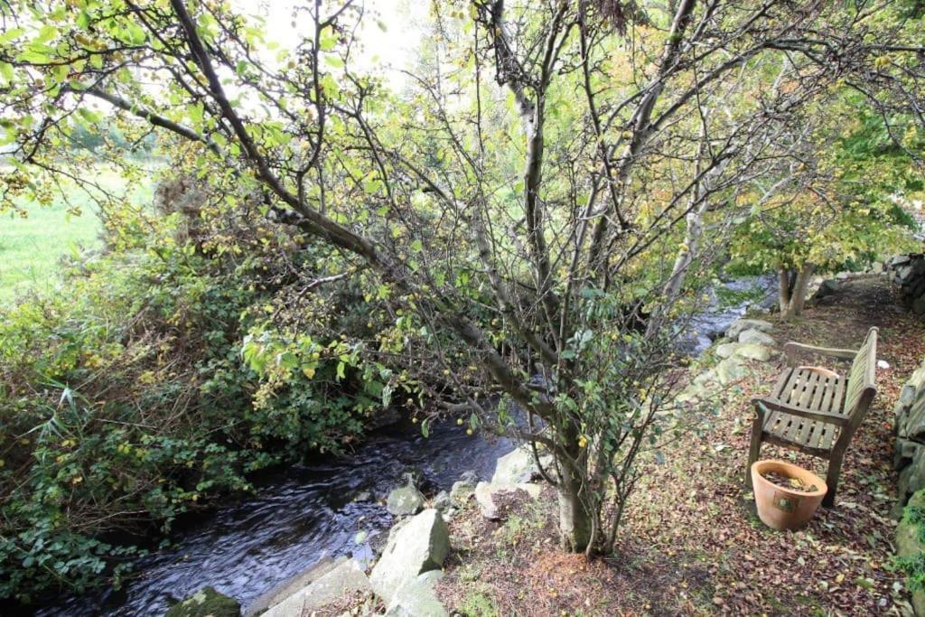 Riverside Cottage At Logwood Mill Ballyclare Buitenkant foto