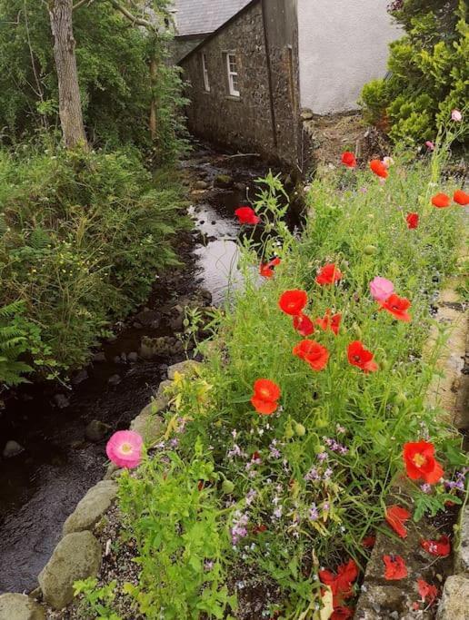 Riverside Cottage At Logwood Mill Ballyclare Buitenkant foto