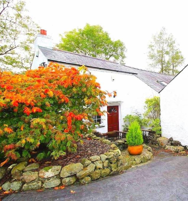 Riverside Cottage At Logwood Mill Ballyclare Buitenkant foto