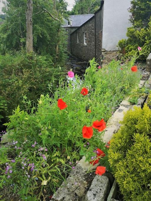 Riverside Cottage At Logwood Mill Ballyclare Buitenkant foto