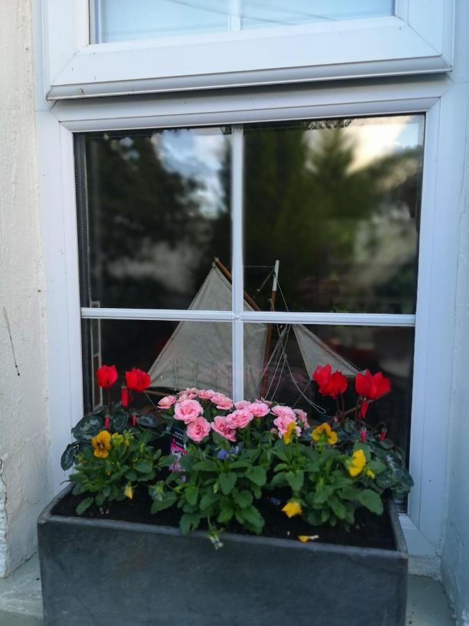 Riverside Cottage At Logwood Mill Ballyclare Buitenkant foto