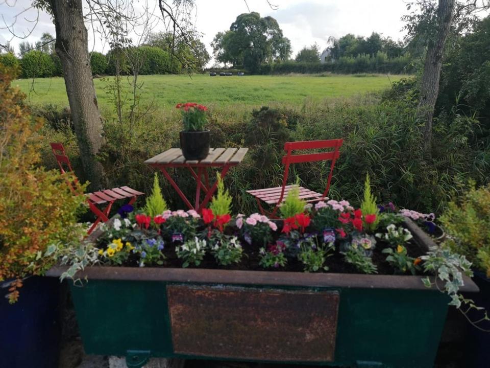 Riverside Cottage At Logwood Mill Ballyclare Buitenkant foto