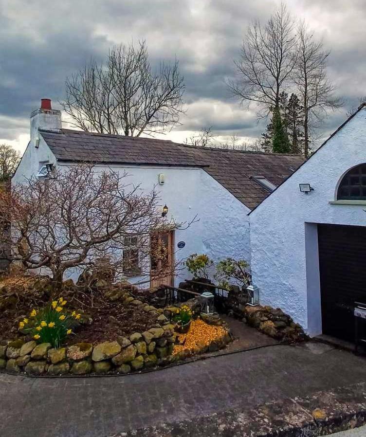 Riverside Cottage At Logwood Mill Ballyclare Buitenkant foto